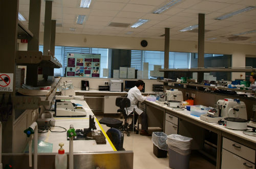 emec research and development service