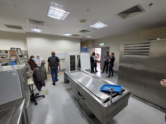 emec hospital sultan ismail